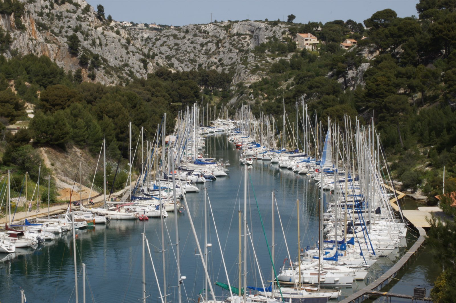 La calanque de Port-Pin à Cassis et sa plage bordée de pins