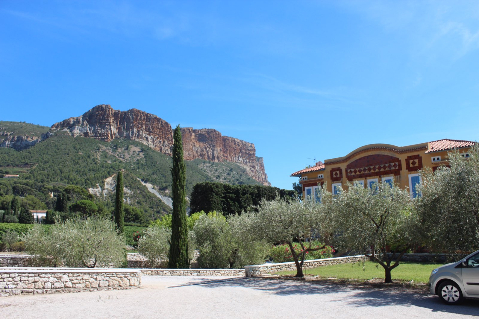 Le vignoble de Cassis