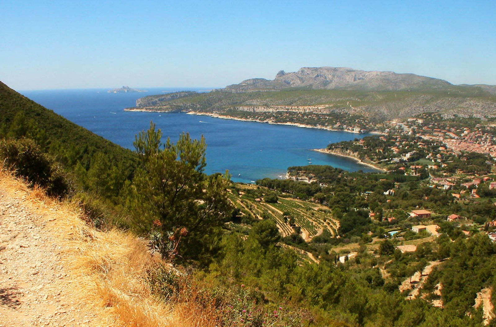 Vue plongeante sur Cassis depuis la route des Crêtes : villas sur les coteaux, vignes et baie